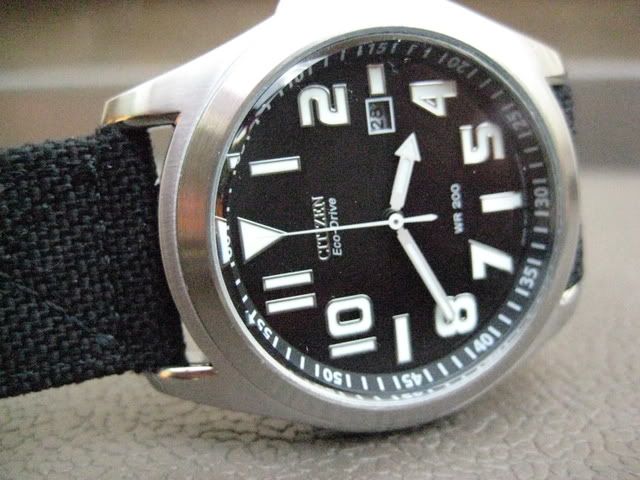 citizen field watch